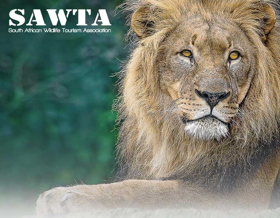 SAWTA