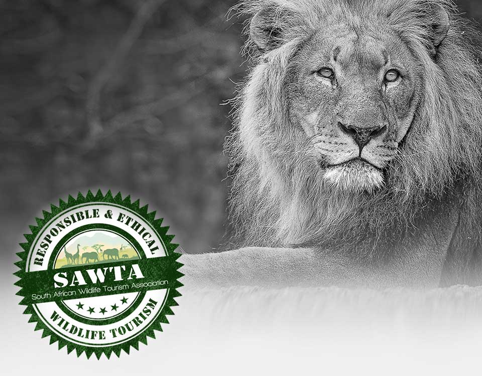 SAWTA
